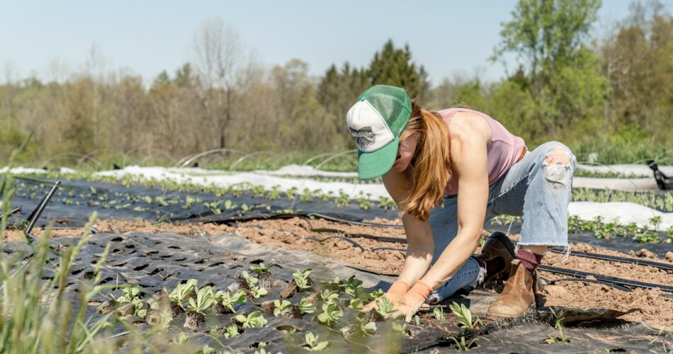 Manfaat Berkebun Organik untuk Kesehatan Anda