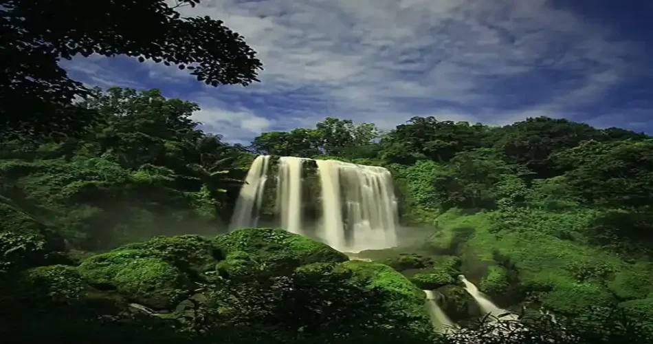 12 Tempat Wisata Terpopuler 2025 di Kendal yang Wajib Kamu Kunjungi!
